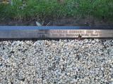 image of grave number 363762
